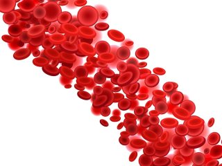 Изображение: Фотобанк Freepik