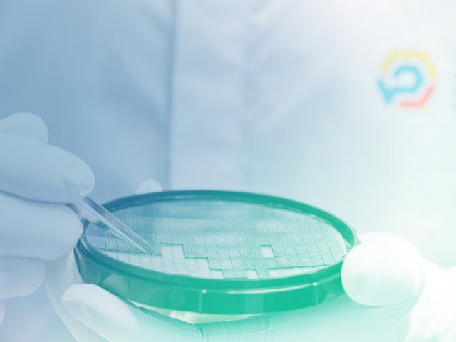 Автор фото: Сергей Кушлевич, МГТУ им. Н.Э. Баумана