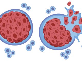 Цистеин усиливает способность Т-клеток бороться с раком. Фото: brgfx / Freepik.com