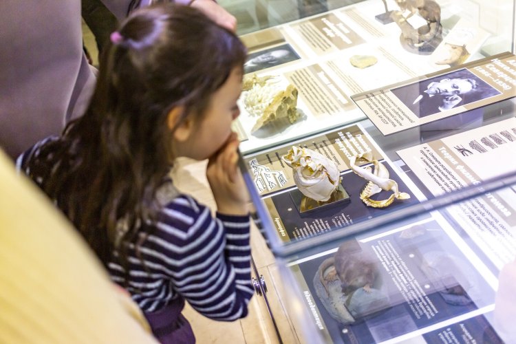 Фотоматериалы предоставлены дарвиновским музеем.