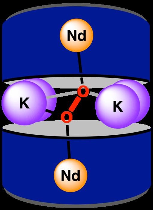 Октакоординированная лигандная среда, используемая для создания пи-взаимодействий между неодимом и кислородом. Фото: Raúl Hernández Sánchez/Rice University