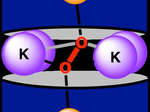 Октакоординированная лигандная среда, используемая для создания пи-взаимодействий между неодимом и кислородом. Фото: Raúl Hernández Sánchez/Rice University