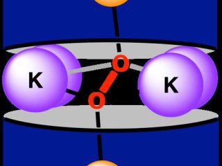Октакоординированная лигандная среда, используемая для создания пи-взаимодействий между неодимом и кислородом. Фото: Raúl Hernández Sánchez/Rice University