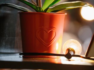 Фото Ольги Мерзляковой