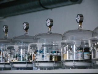 Фото Ольги Мерзляковой