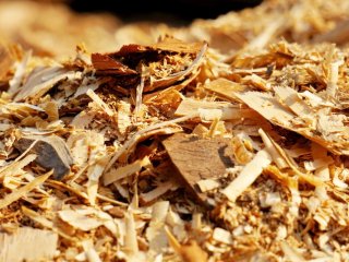 Изображение: Фотобанк Freepik