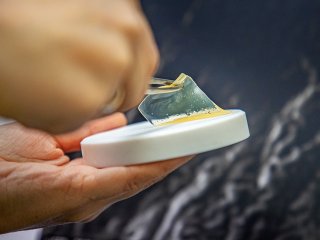 Образец раневого покрытия на основе коллагена трески. Фото: Андрей Скворцов / предоставлено пресс-службой ННГУ им. Н.И. Лобачевского