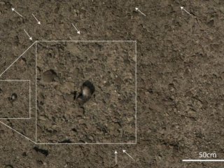 Интернет-археология доступна всем: поиски доисторического в Кении