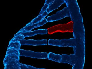 Найден ген — кандидат в настоящие причины болезни Паркинсона
