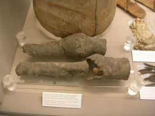 Останки ног царицы Нефертари найдены в музее