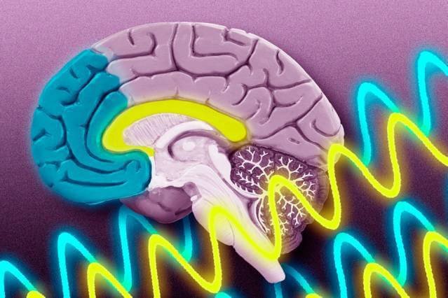 Как мозг выделяет осмысленные звуки среди шума