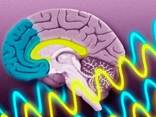 Как мозг выделяет осмысленные звуки среди шума