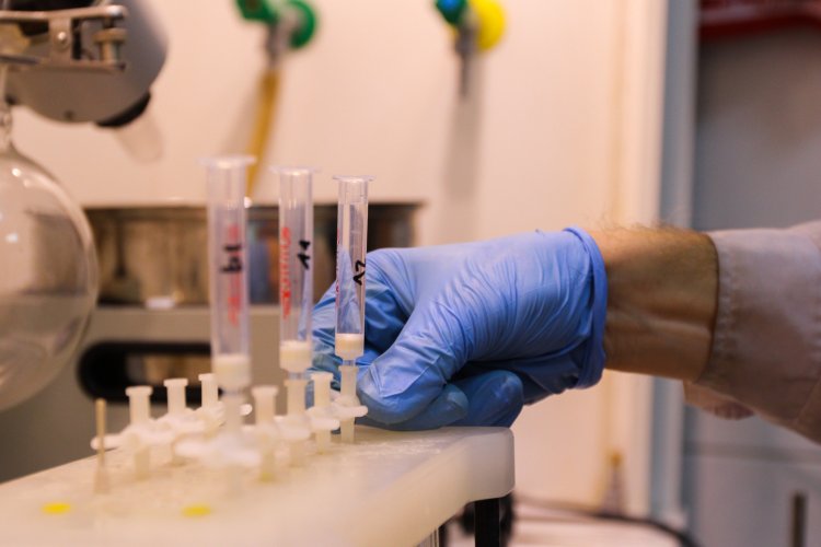 Фото: Дарья Смирнова/Кафедра фотожурналистики и технологий СМИ МГУ