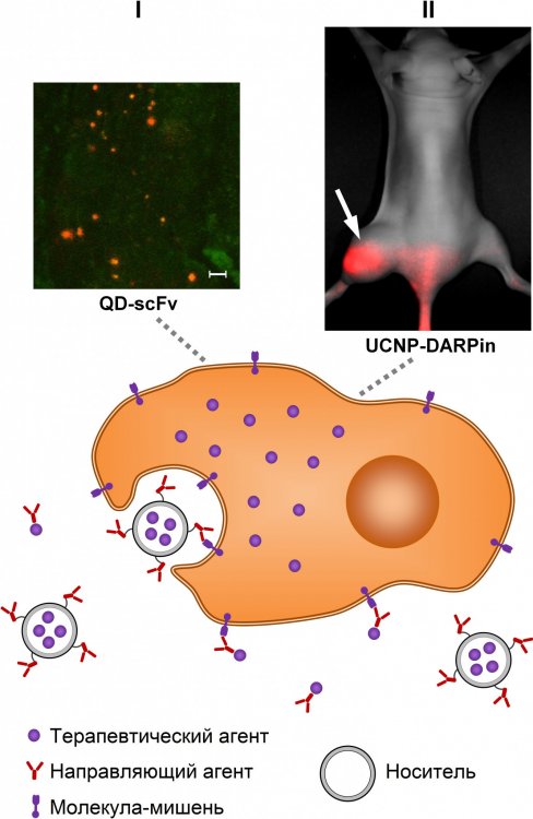 �������������������&nbsp; ������ � ������ � �����