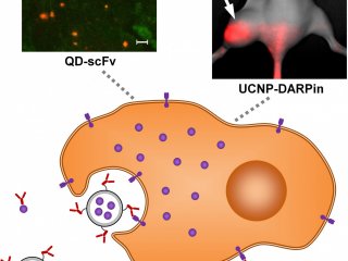 Изображение предоставлено: Ирина Балалаева
