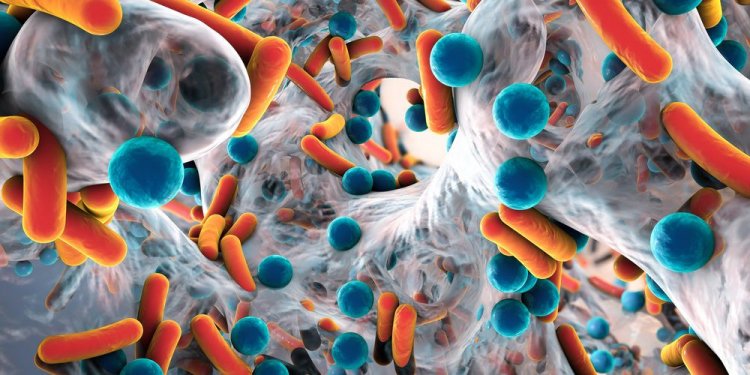 Изображение: drmicrobe/Фотобанк RU.123.RF