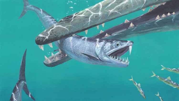 «Саблезубые анчоусы» охотились в океанах около 45 миллионов лет назад