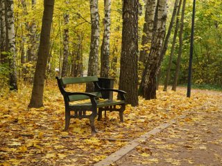 Вальс осенних листьев… Фото: Анастасия Ибрагимова / Научная Россия