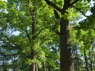 Фото - ru.123rf.com