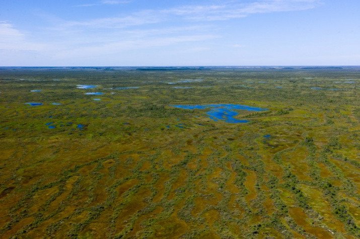 Фото предоставлено Томским областным отделением РГО