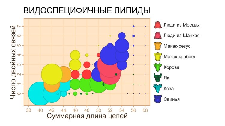 Иллюстрация: Сколтех
