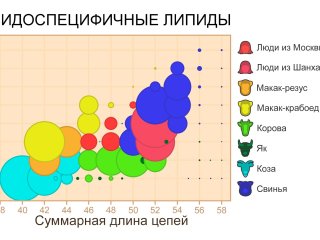 Иллюстрация: Сколтех