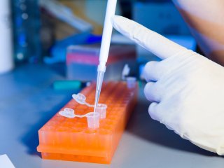 Источник фото: ru.123rf.com