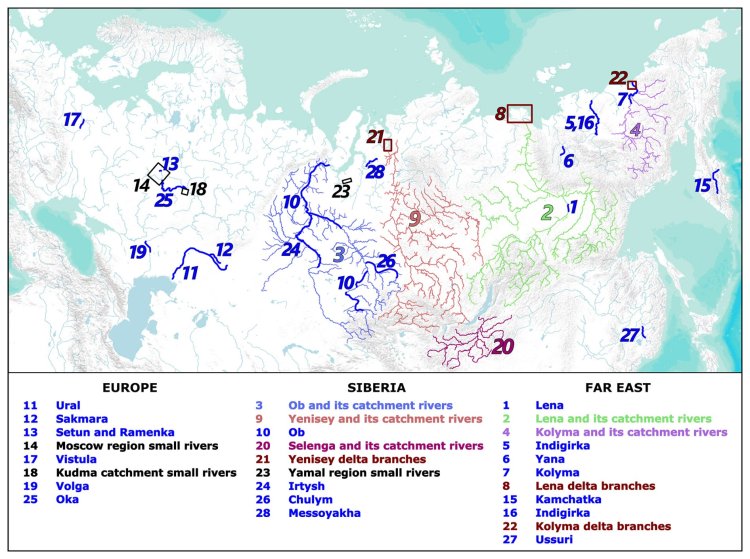 Участки рек, включенные в базу данных исследования. Прямоугольниками выделены дельтовые разветвления и участки малых рек. Источник: С.Р. Чалов, географический факультет МГУ имени М.В. Ломоносова