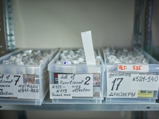 В лаборатории функциональной геномики ИБР РАН. Фото: Елена Либрик / «Научная Россия»
