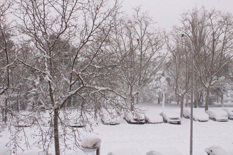 Источник фото: sobremanos / ru.123rf.com