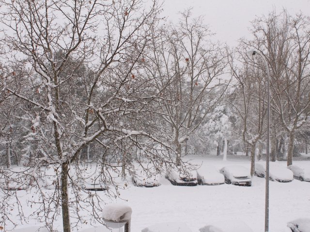 Источник фото: sobremanos / ru.123rf.com