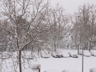 Источник фото: sobremanos / ru.123rf.com