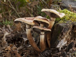 Изображение: Фотобанк Freepik