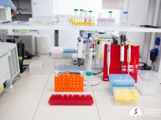 Гидрогелевую систему для быстрого заживления ожогов представили в Сеченовском Университете. Фото: пресс-служба Сеченовского Университета