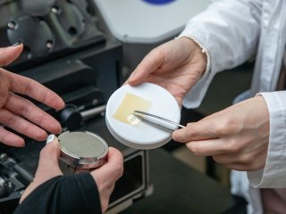 Образец раневого покрытия на основе коллагена трески. Фото: Андрей Скворцов / предоставлено пресс-службой ННГУ им. Н.И. Лобачевского