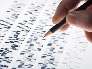 Количество расшифрованных вирусных геномов увеличили в 10 раз