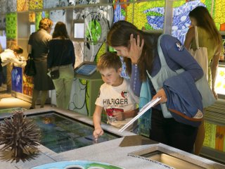 Дарвиновский музей приглашает в дни осенних школьных каникул без выходных