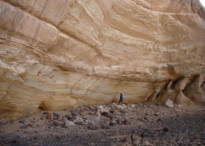 В пустыне Сахара люди занимались земледелием ещё 10000 лет назад