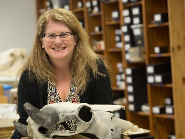 xu3 medium Музыкальный инструмент как панцирь черепахи