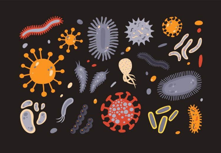 Загадки микробов