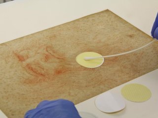 В рисунках Леонардо да Винчи найдены бактерии и человеческая ДНК