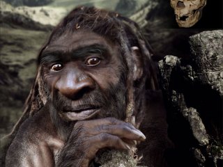 Homo heidelbergensis (Sima de los Huesos Cranium 5) О.Осипов для АНТРОПОГЕНЕЗРУ