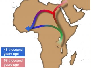 расселение из Африки