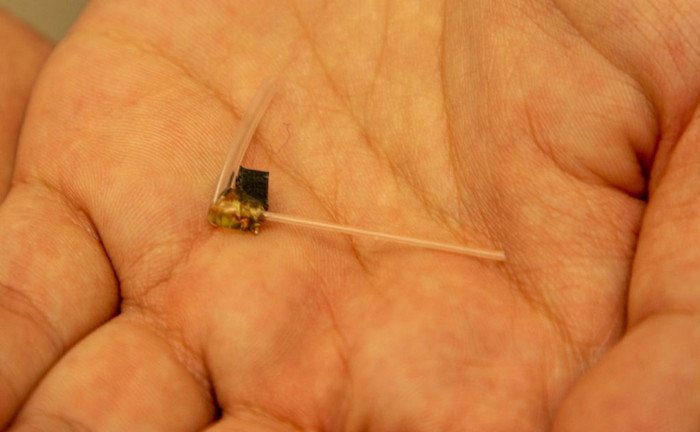 Разработано миниатюрное оптоволоконное устройство для лечения рака
