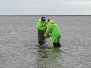 Мониторинг состояния арктических вод