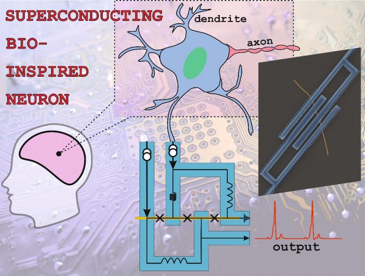 Биологический нейрон и его искусственный аналог из сверхпроводящего материала. Источник: Nanomaterials