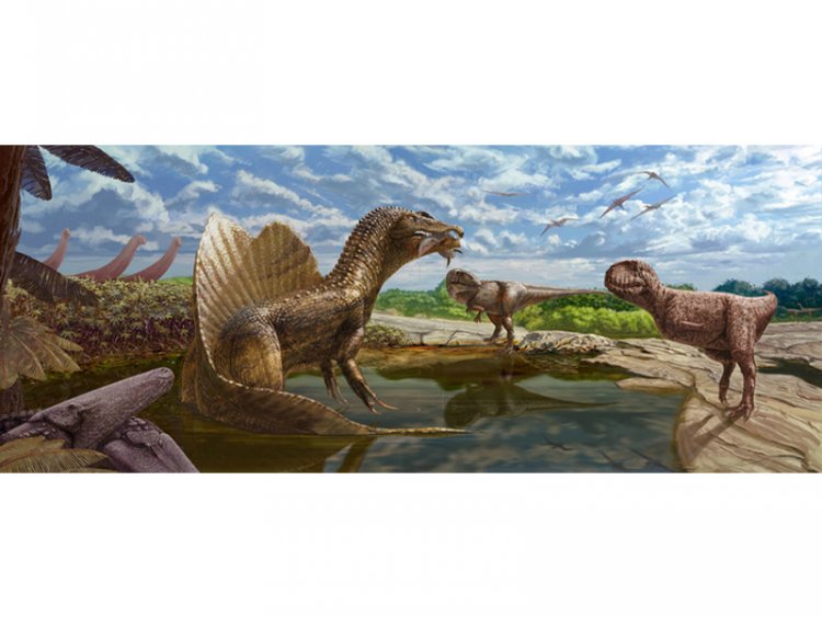 В Сахаре найдены первые окаменелости динозавров-абелизаврид
