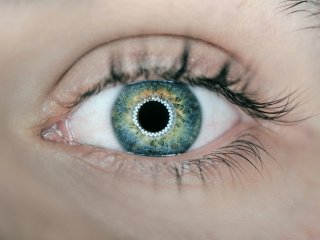 Глаз. Источник: Arteum.ro on Unsplash