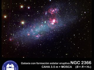 Астроном из Мичиганского университета Салли Оэй изучала область звездообразования в основной галактике NGC 2366, которая является типичной карликовой галактикой неправильной формы.