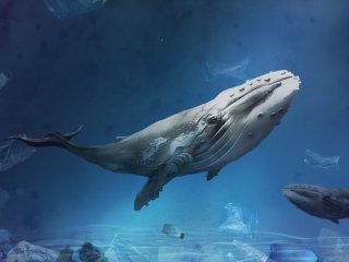 Горбатый кит. Источник изображения: rawpixel.com / фотобанк Freepik 